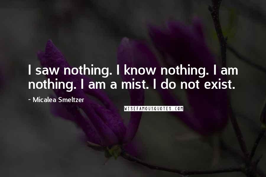 Micalea Smeltzer Quotes: I saw nothing. I know nothing. I am nothing. I am a mist. I do not exist.