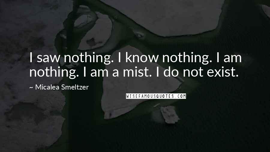 Micalea Smeltzer Quotes: I saw nothing. I know nothing. I am nothing. I am a mist. I do not exist.