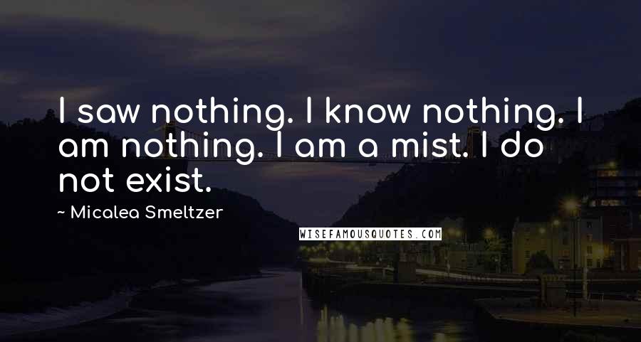 Micalea Smeltzer Quotes: I saw nothing. I know nothing. I am nothing. I am a mist. I do not exist.