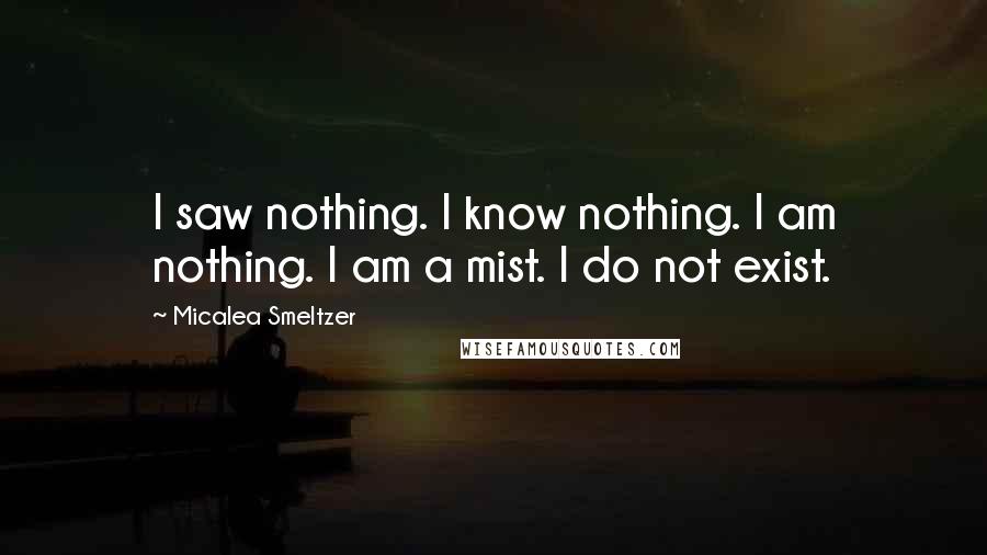 Micalea Smeltzer Quotes: I saw nothing. I know nothing. I am nothing. I am a mist. I do not exist.