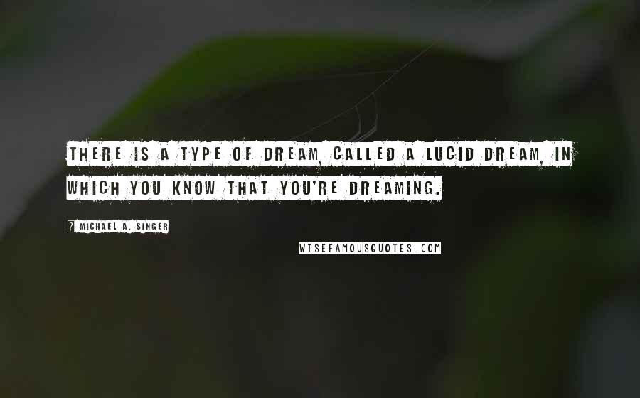 Michael A. Singer Quotes: There is a type of dream, called a lucid dream, in which you know that you're dreaming.