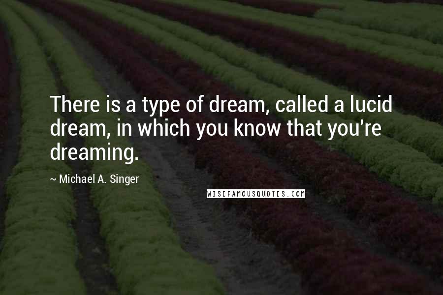 Michael A. Singer Quotes: There is a type of dream, called a lucid dream, in which you know that you're dreaming.