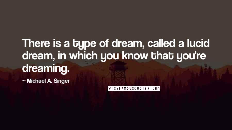 Michael A. Singer Quotes: There is a type of dream, called a lucid dream, in which you know that you're dreaming.