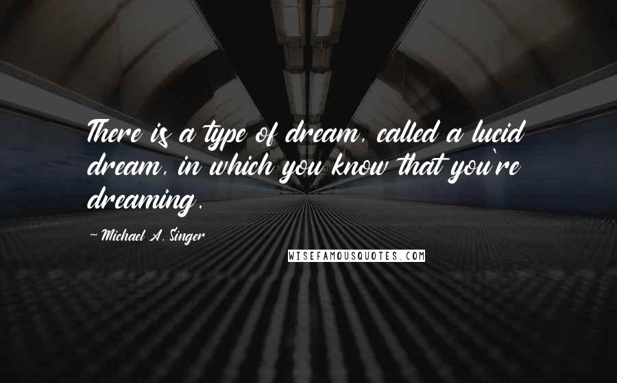 Michael A. Singer Quotes: There is a type of dream, called a lucid dream, in which you know that you're dreaming.