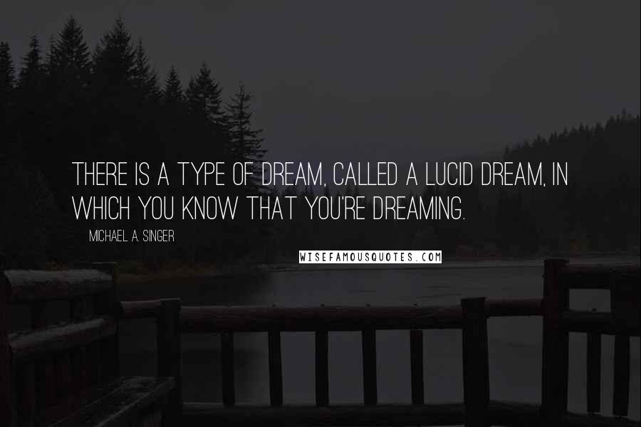 Michael A. Singer Quotes: There is a type of dream, called a lucid dream, in which you know that you're dreaming.