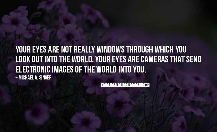 Michael A. Singer Quotes: Your eyes are not really windows through which you look out into the world. Your eyes are cameras that send electronic images of the world into you.