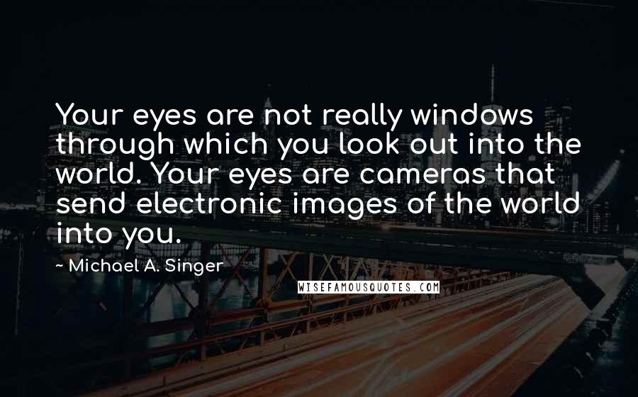 Michael A. Singer Quotes: Your eyes are not really windows through which you look out into the world. Your eyes are cameras that send electronic images of the world into you.