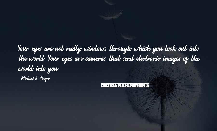 Michael A. Singer Quotes: Your eyes are not really windows through which you look out into the world. Your eyes are cameras that send electronic images of the world into you.