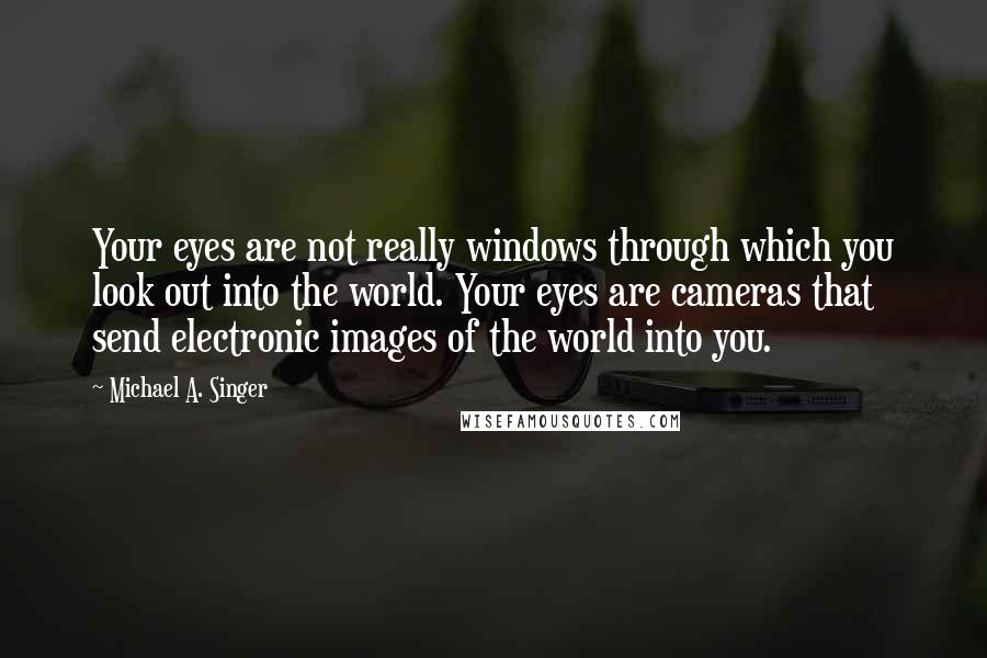 Michael A. Singer Quotes: Your eyes are not really windows through which you look out into the world. Your eyes are cameras that send electronic images of the world into you.