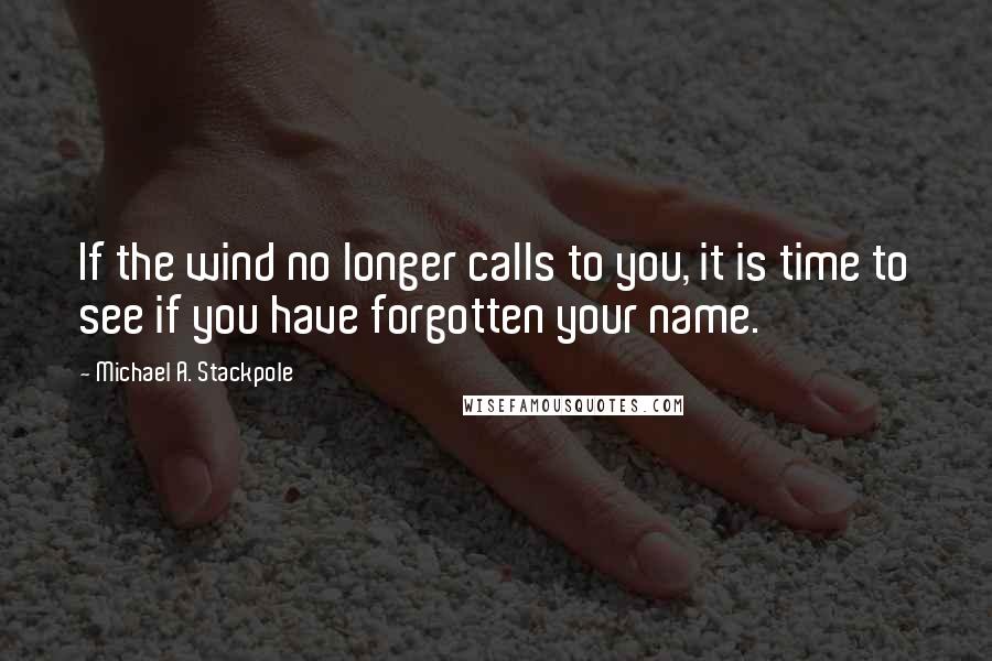 Michael A. Stackpole Quotes: If the wind no longer calls to you, it is time to see if you have forgotten your name.