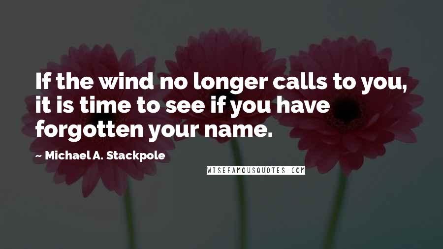 Michael A. Stackpole Quotes: If the wind no longer calls to you, it is time to see if you have forgotten your name.