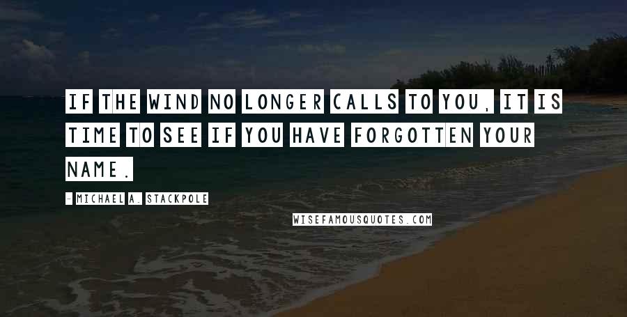 Michael A. Stackpole Quotes: If the wind no longer calls to you, it is time to see if you have forgotten your name.