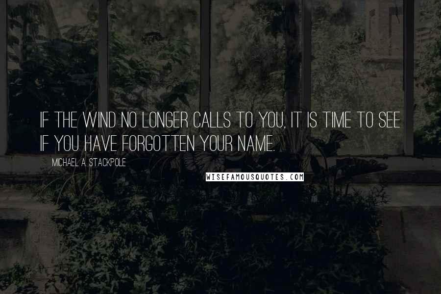 Michael A. Stackpole Quotes: If the wind no longer calls to you, it is time to see if you have forgotten your name.