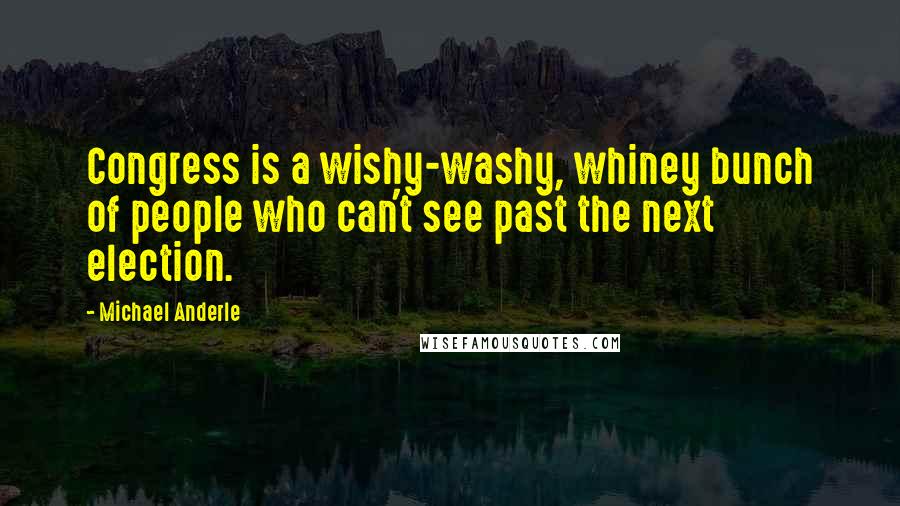 Michael Anderle Quotes: Congress is a wishy-washy, whiney bunch of people who can't see past the next election.