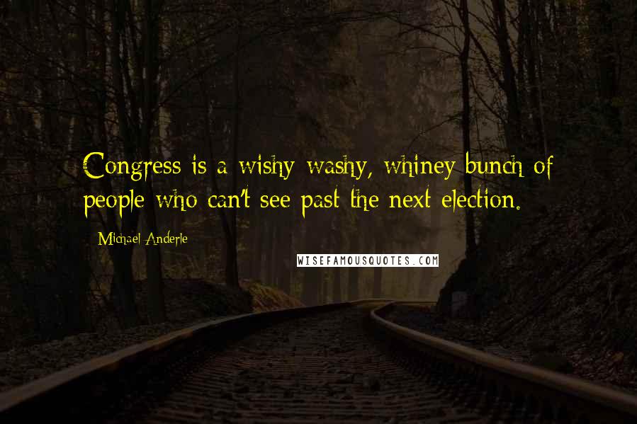 Michael Anderle Quotes: Congress is a wishy-washy, whiney bunch of people who can't see past the next election.