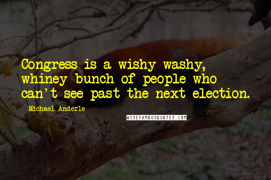 Michael Anderle Quotes: Congress is a wishy-washy, whiney bunch of people who can't see past the next election.