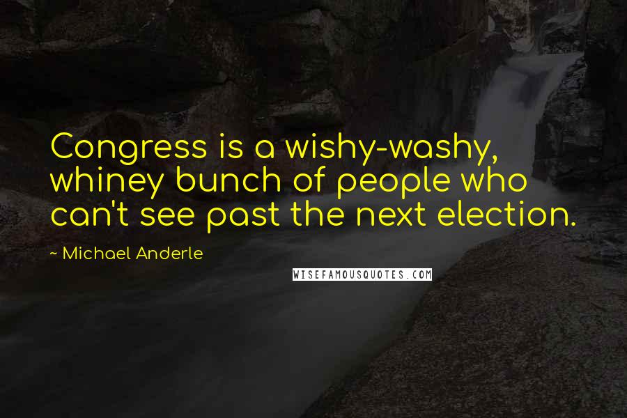 Michael Anderle Quotes: Congress is a wishy-washy, whiney bunch of people who can't see past the next election.