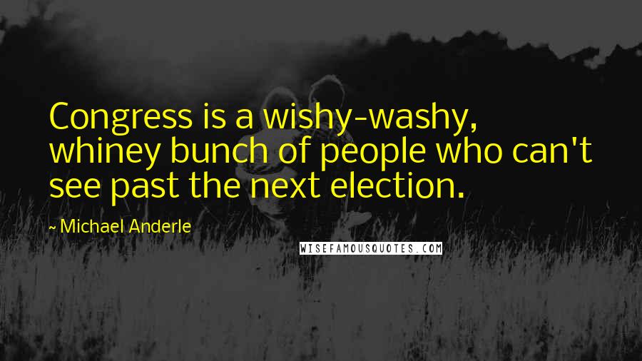Michael Anderle Quotes: Congress is a wishy-washy, whiney bunch of people who can't see past the next election.