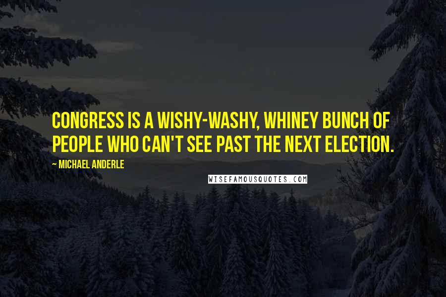 Michael Anderle Quotes: Congress is a wishy-washy, whiney bunch of people who can't see past the next election.