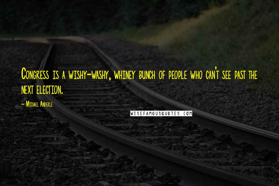 Michael Anderle Quotes: Congress is a wishy-washy, whiney bunch of people who can't see past the next election.