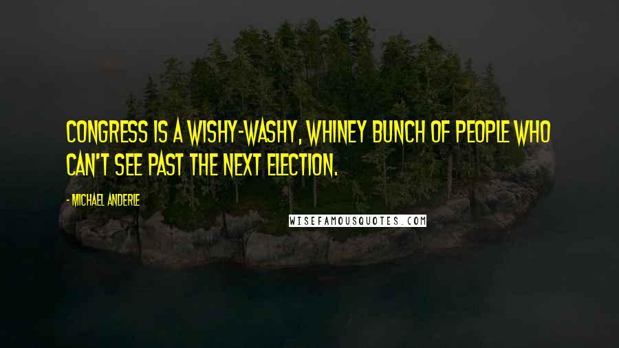 Michael Anderle Quotes: Congress is a wishy-washy, whiney bunch of people who can't see past the next election.