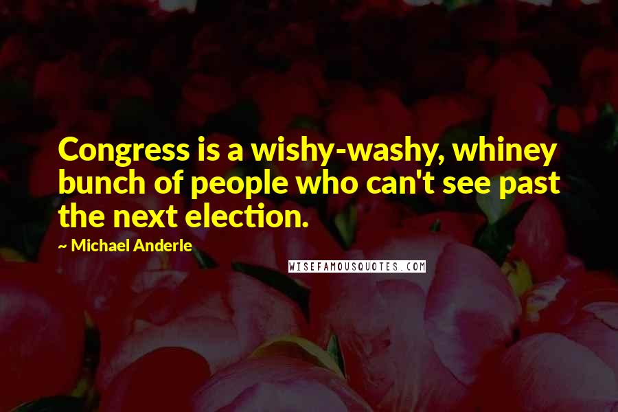 Michael Anderle Quotes: Congress is a wishy-washy, whiney bunch of people who can't see past the next election.