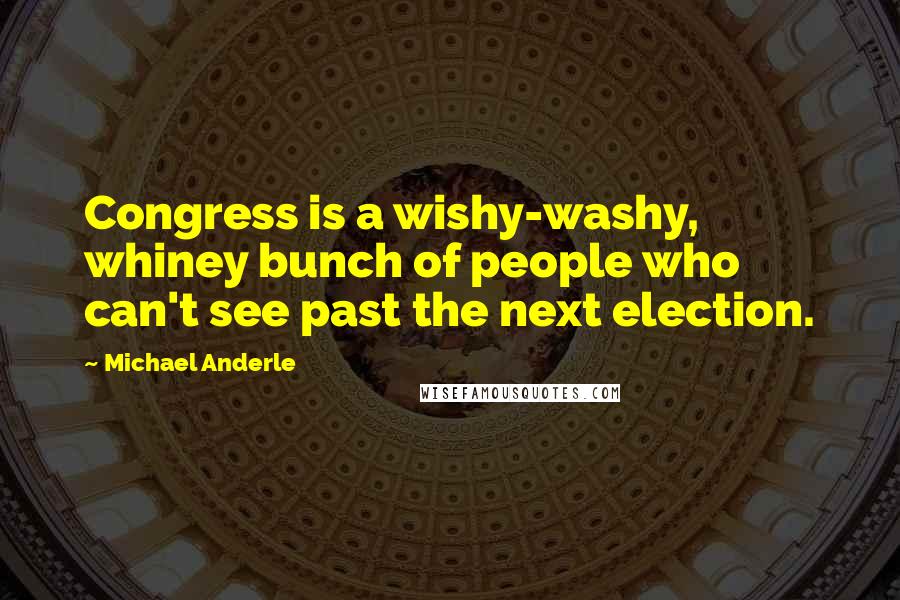 Michael Anderle Quotes: Congress is a wishy-washy, whiney bunch of people who can't see past the next election.