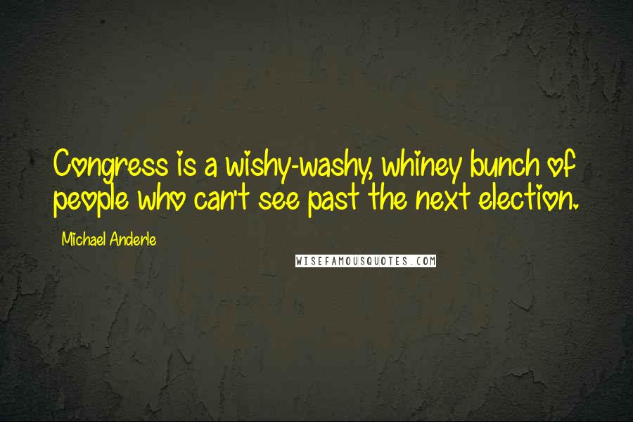 Michael Anderle Quotes: Congress is a wishy-washy, whiney bunch of people who can't see past the next election.