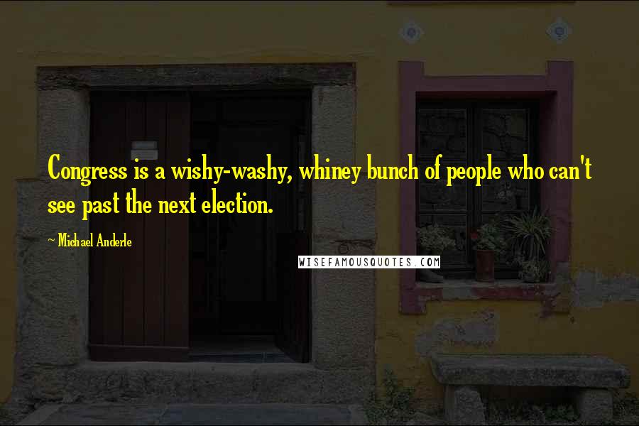 Michael Anderle Quotes: Congress is a wishy-washy, whiney bunch of people who can't see past the next election.