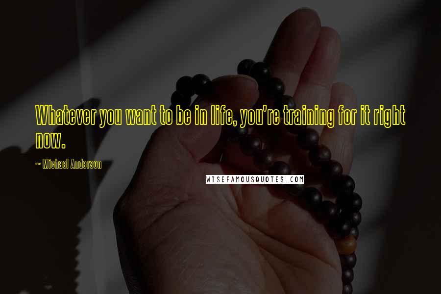 Michael Anderson Quotes: Whatever you want to be in life, you're training for it right now.