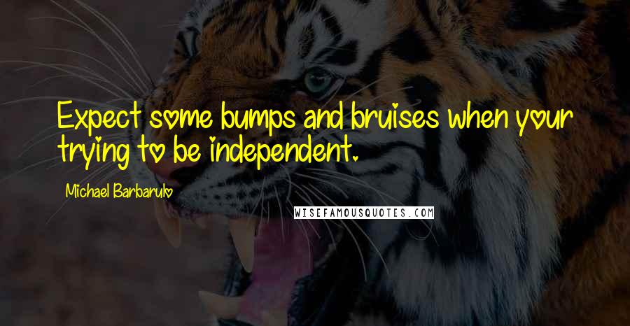 Michael Barbarulo Quotes: Expect some bumps and bruises when your trying to be independent.