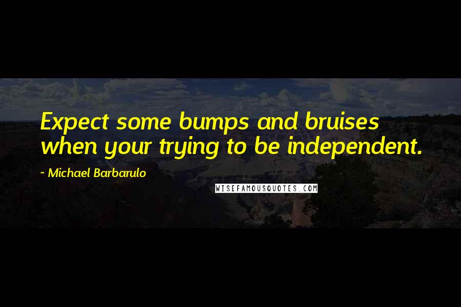 Michael Barbarulo Quotes: Expect some bumps and bruises when your trying to be independent.