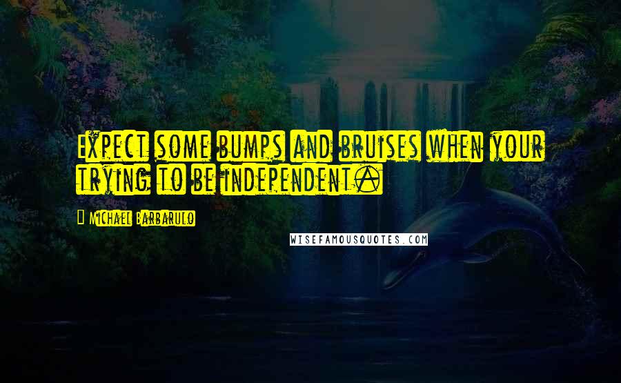 Michael Barbarulo Quotes: Expect some bumps and bruises when your trying to be independent.