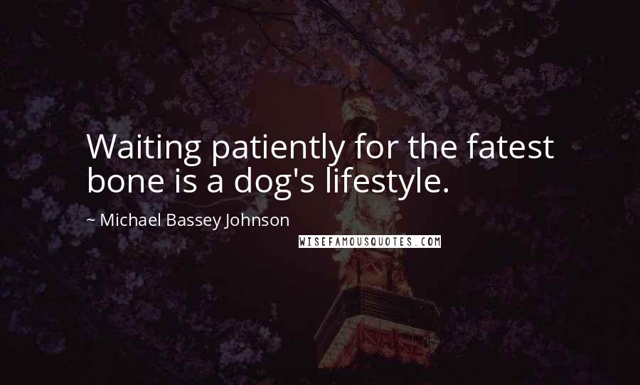 Michael Bassey Johnson Quotes: Waiting patiently for the fatest bone is a dog's lifestyle.