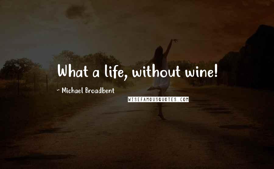 Michael Broadbent Quotes: What a life, without wine!