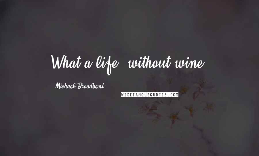 Michael Broadbent Quotes: What a life, without wine!