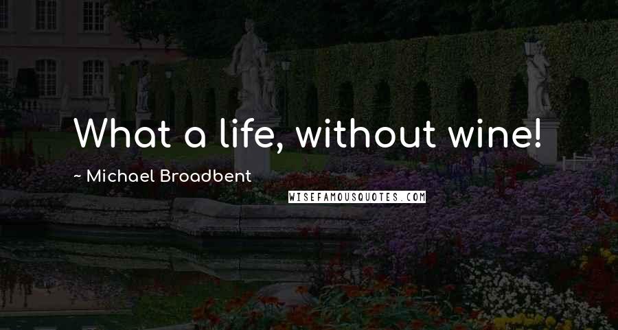 Michael Broadbent Quotes: What a life, without wine!