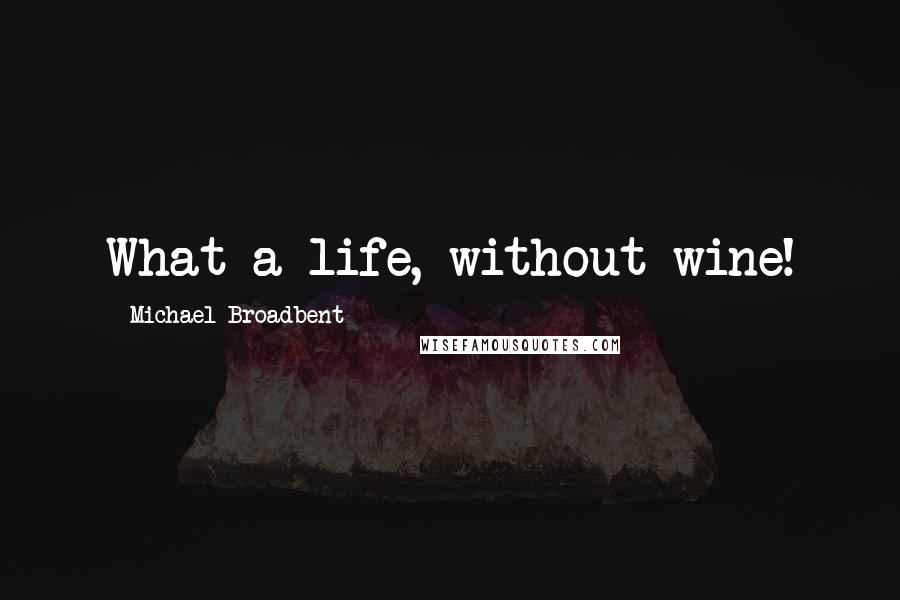 Michael Broadbent Quotes: What a life, without wine!