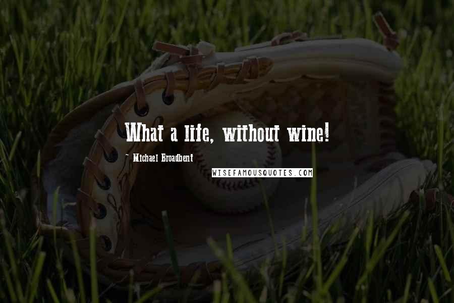 Michael Broadbent Quotes: What a life, without wine!