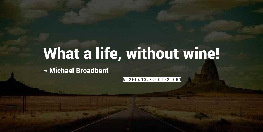 Michael Broadbent Quotes: What a life, without wine!