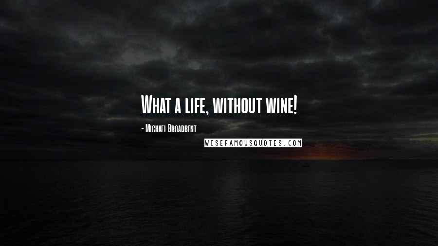 Michael Broadbent Quotes: What a life, without wine!