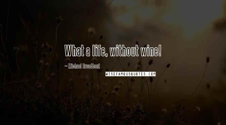 Michael Broadbent Quotes: What a life, without wine!