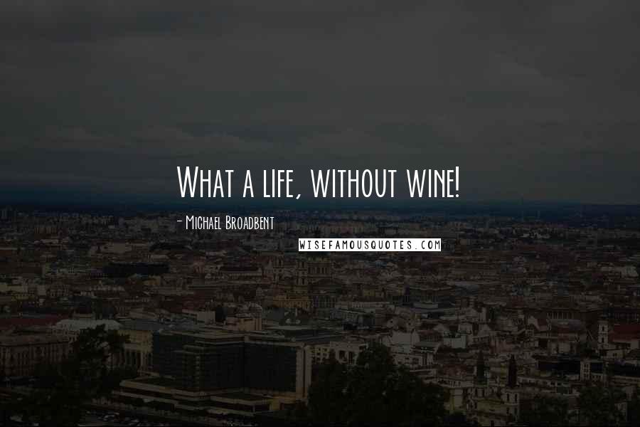 Michael Broadbent Quotes: What a life, without wine!