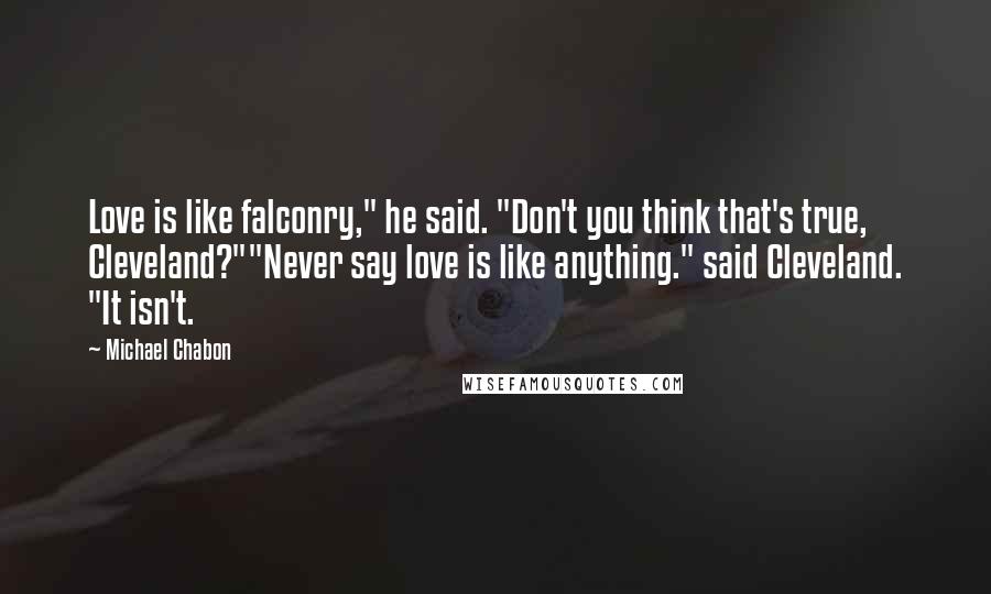 Michael Chabon Quotes: Love is like falconry," he said. "Don't you think that's true, Cleveland?""Never say love is like anything." said Cleveland. "It isn't.