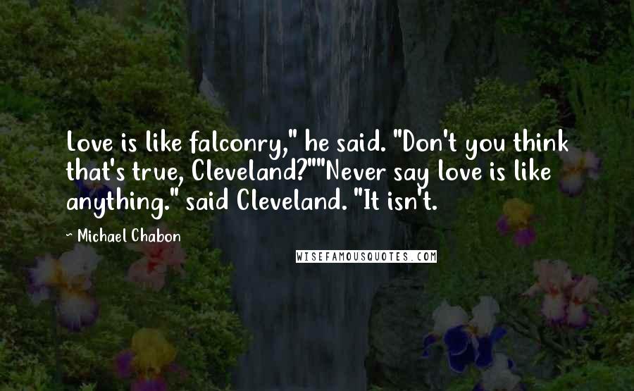 Michael Chabon Quotes: Love is like falconry," he said. "Don't you think that's true, Cleveland?""Never say love is like anything." said Cleveland. "It isn't.