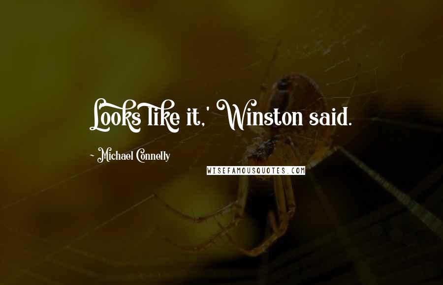 Michael Connelly Quotes: Looks like it,' Winston said.