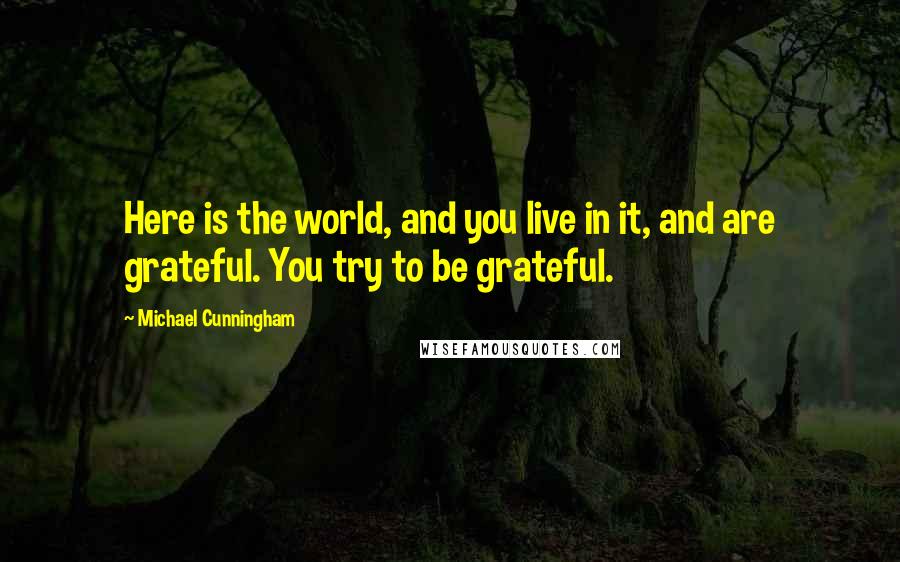Michael Cunningham Quotes: Here is the world, and you live in it, and are grateful. You try to be grateful.
