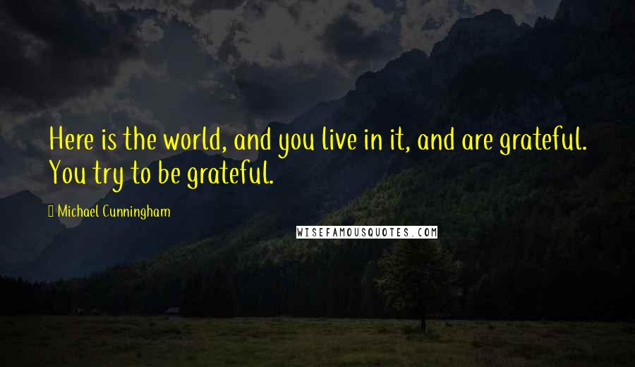 Michael Cunningham Quotes: Here is the world, and you live in it, and are grateful. You try to be grateful.