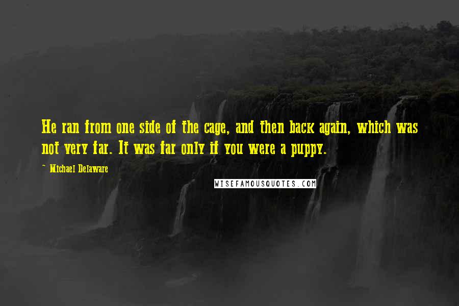 Michael Delaware Quotes: He ran from one side of the cage, and then back again, which was not very far. It was far only if you were a puppy.