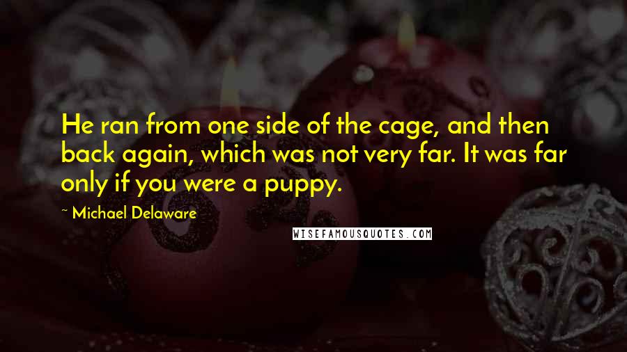 Michael Delaware Quotes: He ran from one side of the cage, and then back again, which was not very far. It was far only if you were a puppy.